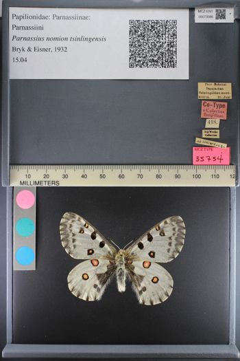 Media type: image;   Entomology 73086